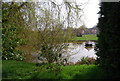 Pond, Great Bigknowle Farm