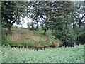 Pond near Upper South Farm 1