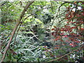 Pond near Upper South Farm 3