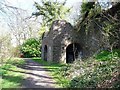 Limekiln below Holmston Road