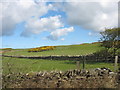 SH3893 : Sheep pastures west of Rhos-isaf by Eric Jones