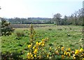 Fields near Fryer Mayne Dairy