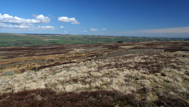 Plenmeller Common, Northumberland - area information, map, walks and more