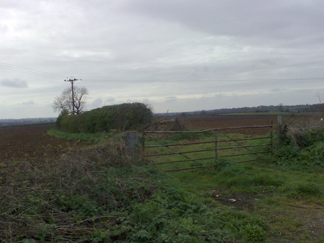 Gate to Two Fields
