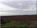 Ploughed Field, Bycell Road