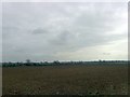 Ploughed Field, Bycell Road