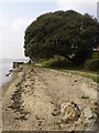 Vestigial beach at Shotley Gate