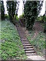 Footpath Steps