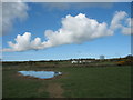 A dew pond in the field