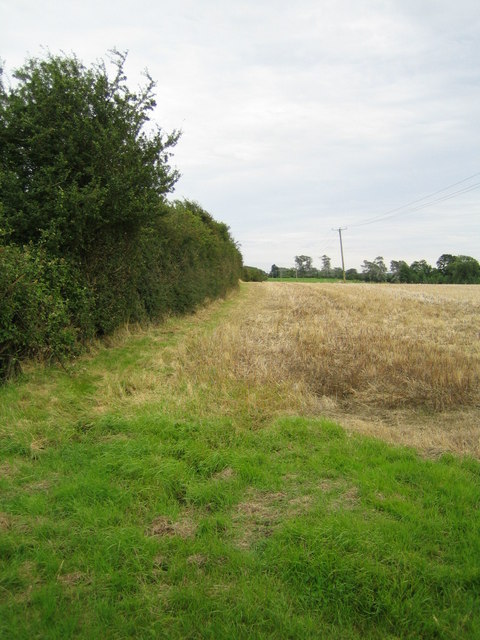 Hedgerow near Lower South Farm