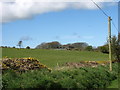 View across farmland to Carrog Farm