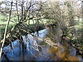 The River Teign, from Rushford Bridge