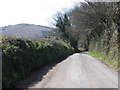 SX6989 : Minor road to Chagford by Roger Cornfoot