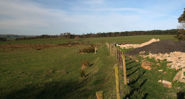 Barrasford Park © Peter McDermott :: Geograph Britain and Ireland