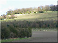 Farmland south of Marten