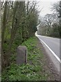 Leigh upon Mendip, milestone