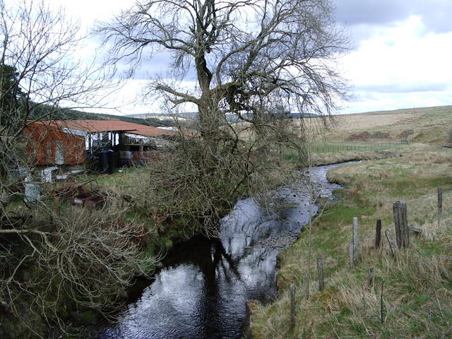 River Nith near Nith Lodge