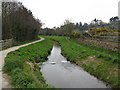 A small stream at St. Blazey