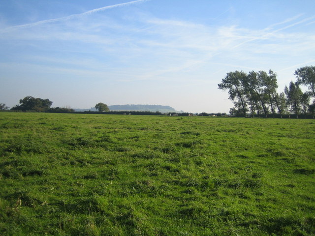 Farmland near Doddershall House 2