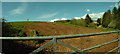 Loxbeare : Gate & Ploughed Field