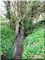 The Whistle Brook leaves the Ford End Watermill, Ivinghoe