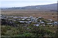 L8729 : North of Leitir Calaidh (Lettercallow) by Graham Horn