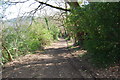 Track / bridlepath comes up from Llangollen