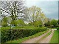 Footpaths diverge at Kempley