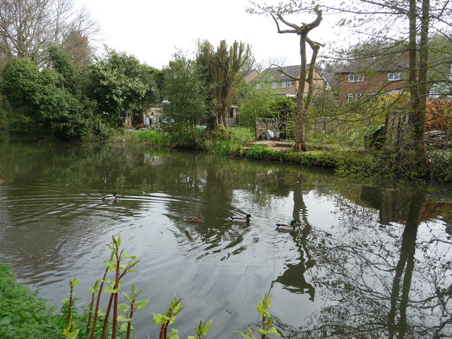 Gardens backing on to the Basingstoke Canal