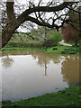 Pond near Clay Lane