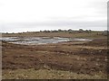 Pairc Shiabost and Loch Thuaimistear