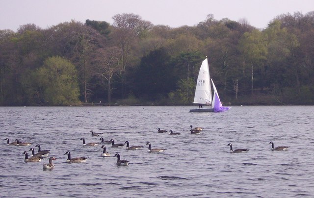 Sailing on the Mere