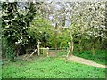 Footpath at the entrance to The Grove