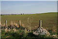 Farmland at Roxburgh Newtown