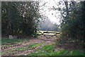 Gate by the footpath east of Marklye Lane