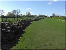 NZ1366 : Hadrian's Wall - Heddon-on-the-Wall by Anthony Foster
