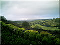 Wharfedale towards Burnsall