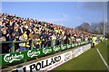 ST5217 : Northern Terrace at Huish Park, Yeovil by Steve Daniels
