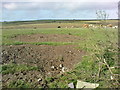 Farmland near Ratford Bridge