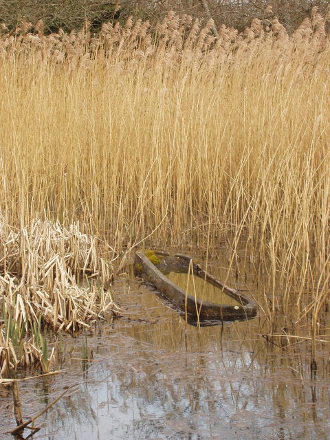 Dugout canoe at Irish National Heritage Park