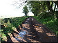 Mid Devon : Muddy Track