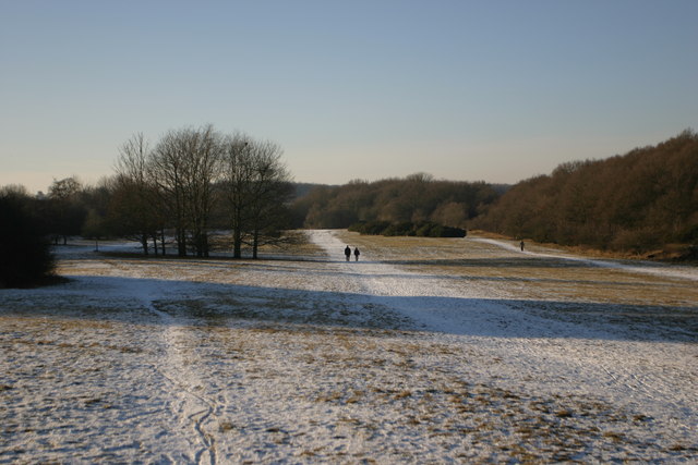Nomansland Common (South Section)