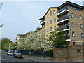 Street Scene, Tavistock Road, Croydon