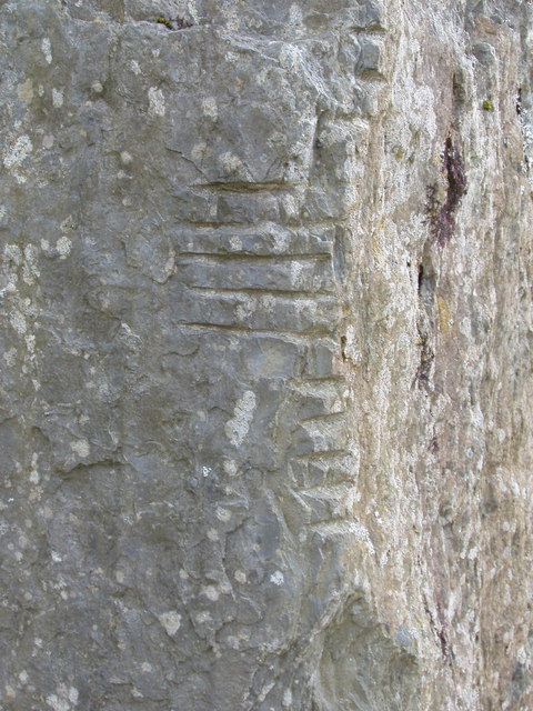 Ogham alphabet inscription, Irish National Heritage Park