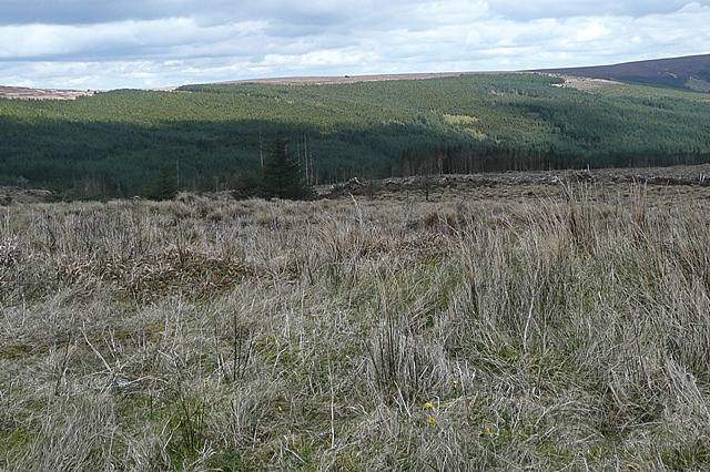 Forestry in the Slieve Bloom mountains © Graham Horn :: Geograph Ireland