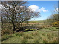 Footbridge on the Brynddu Courtesy Path