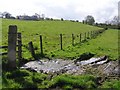 Mucky field, Kilnaheery