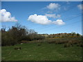 Powerlines crossing the Brynddu Courtesy Path