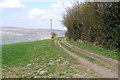 Llwybr Ceiriog leaves the lane