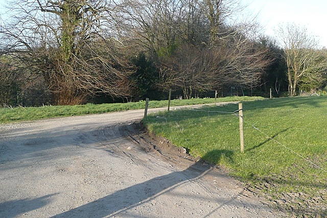 Track near Carrigmannon Bridge